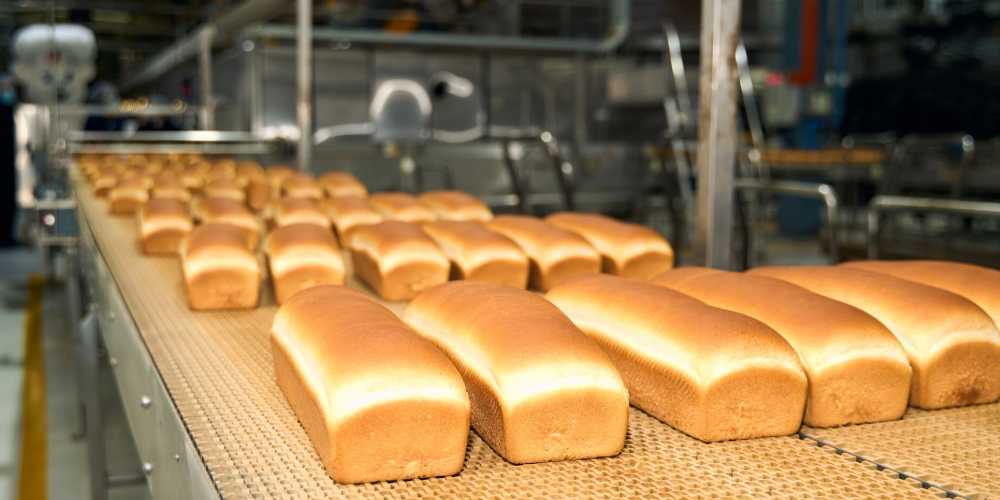 Ideal to invest US$ 25 million to expand its plant in Chillán Viejo
