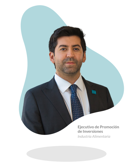 About InvestChile Background