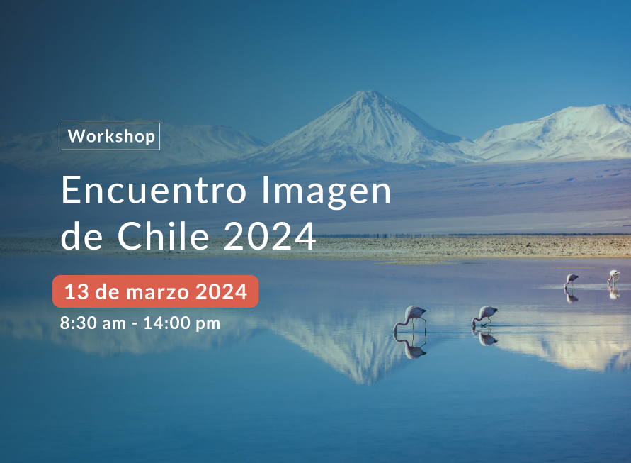 About InvestChile Background