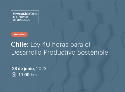 About InvestChile Background