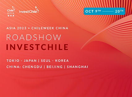 About InvestChile Background
