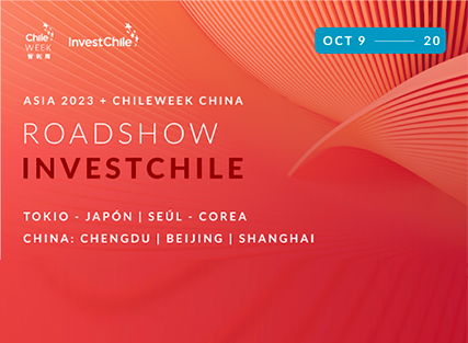 About InvestChile Background