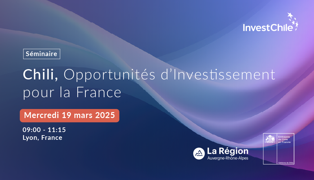 About InvestChile Background