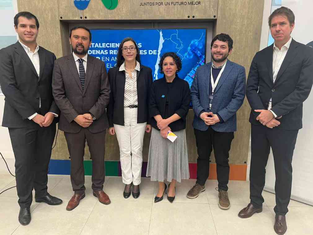 About InvestChile Background