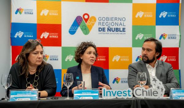 Ñuble Regional Government and InvestChile lead dialogue with global tech companies