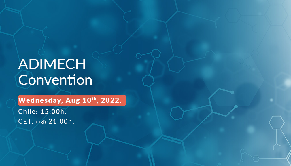 About InvestChile Background