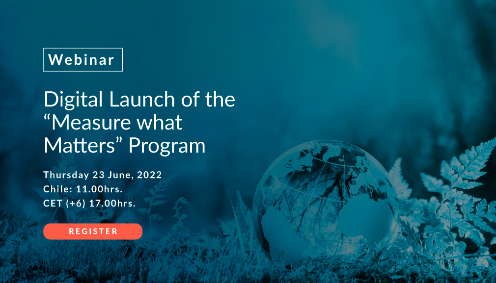 About InvestChile Background