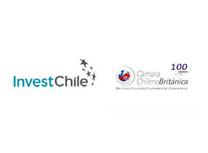 About InvestChile Background