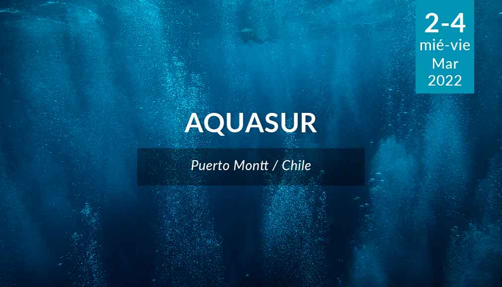 About InvestChile Background