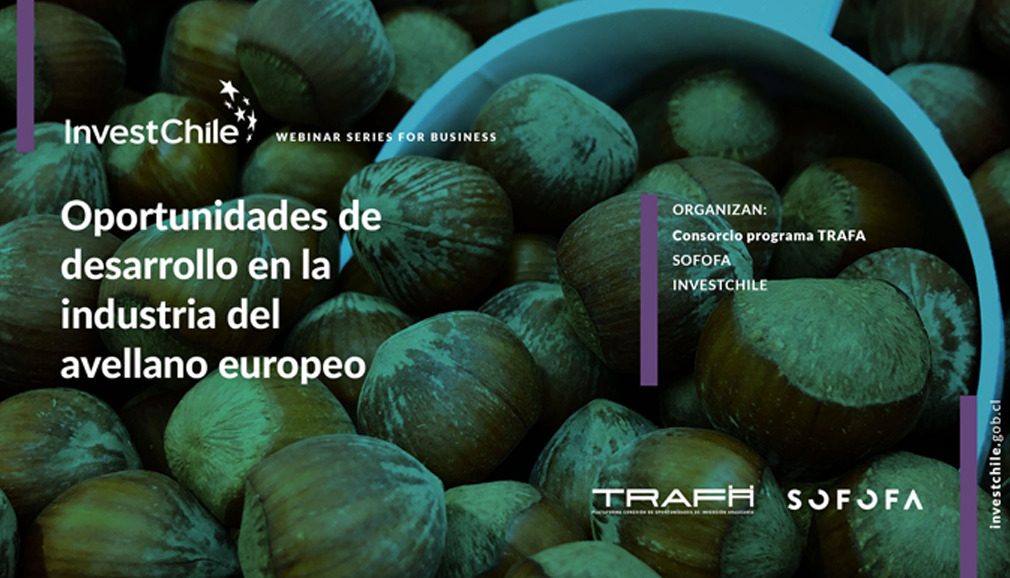 About InvestChile Background