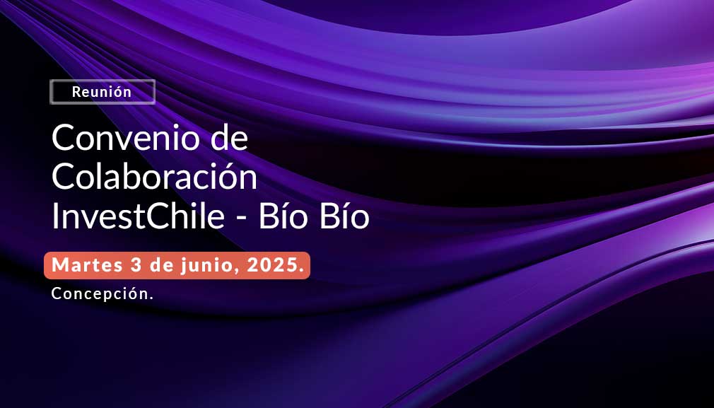About InvestChile Background