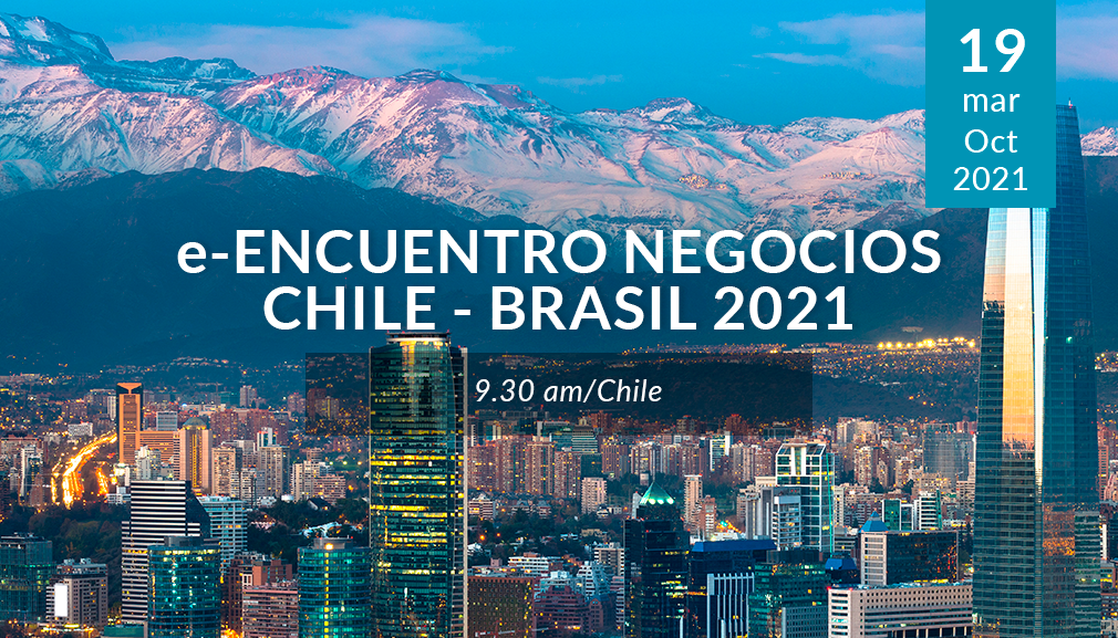 About InvestChile Background