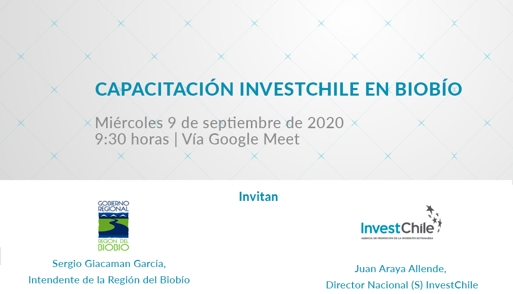 About InvestChile Background