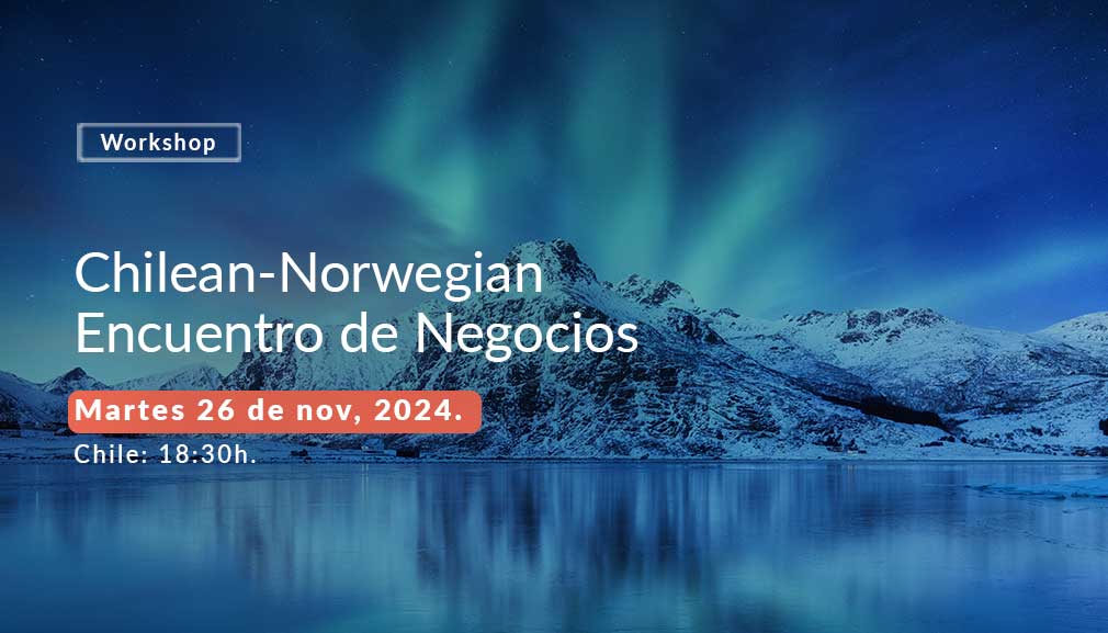 About InvestChile Background