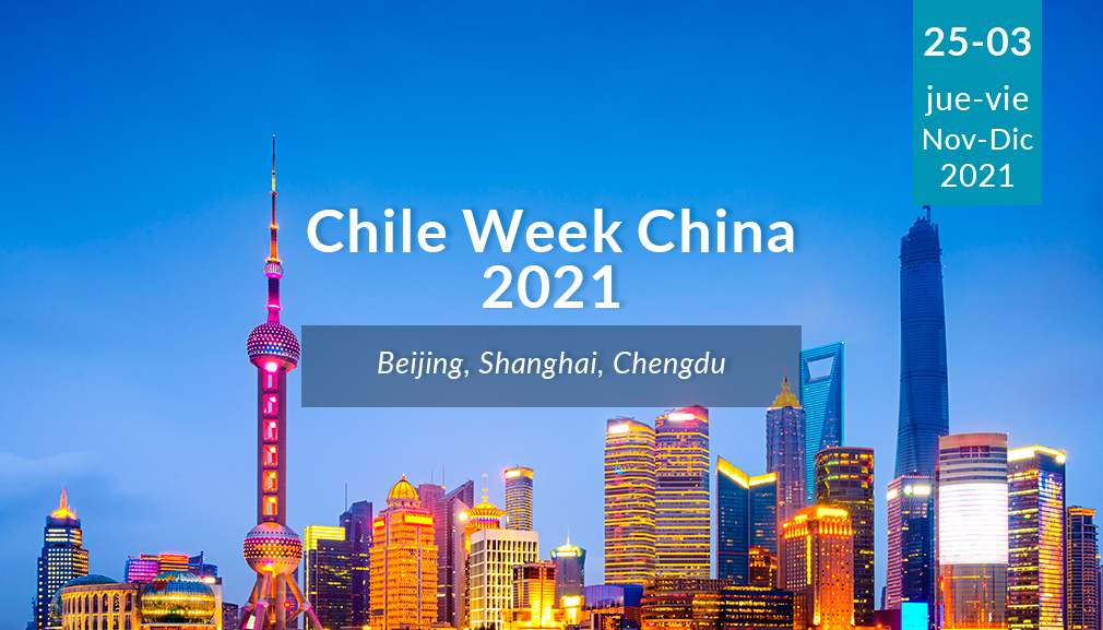 About InvestChile Background