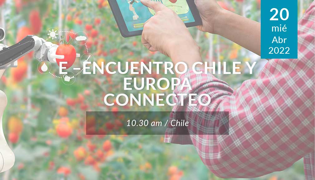 About InvestChile Background