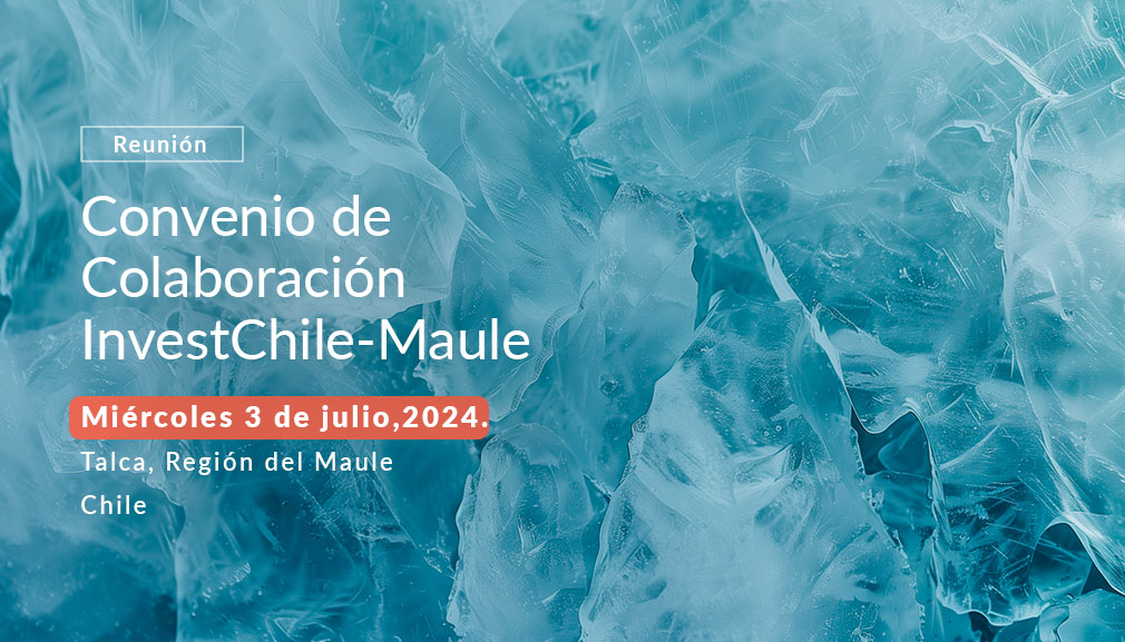 About InvestChile Background