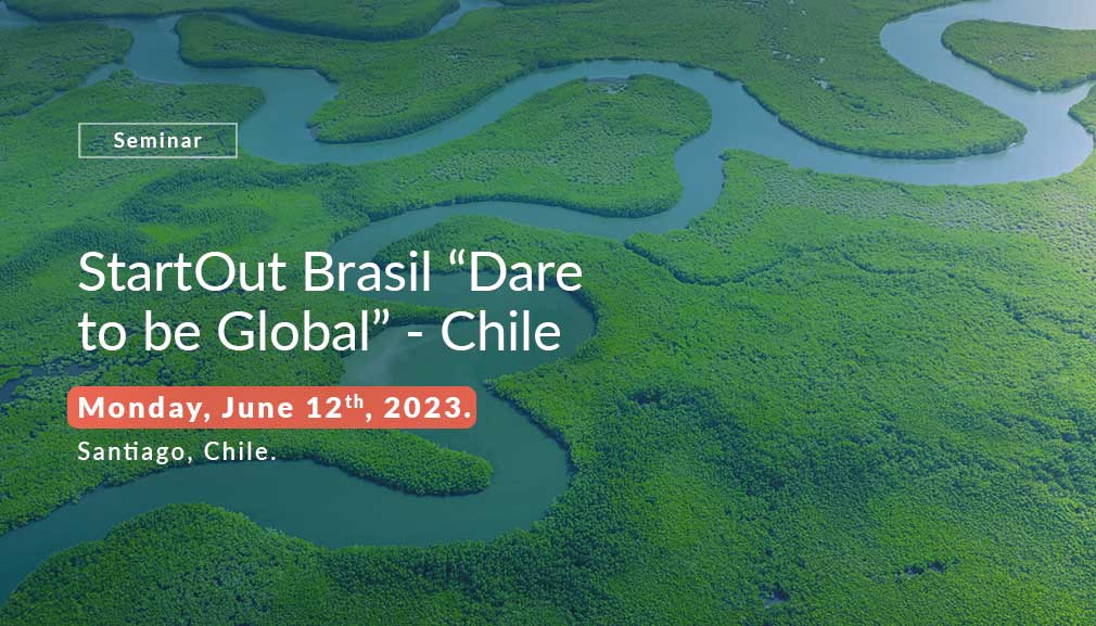 About InvestChile Background