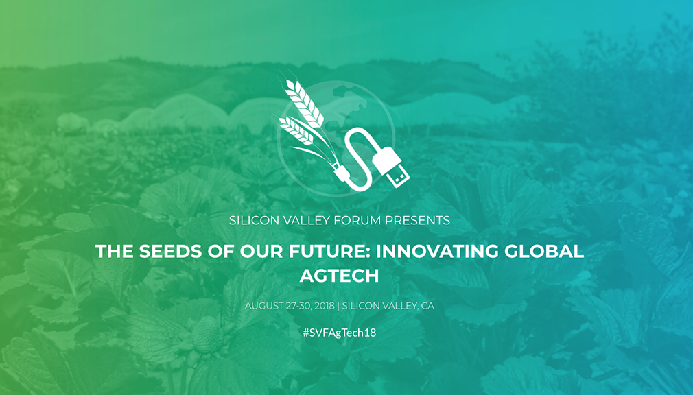 About InvestChile Background