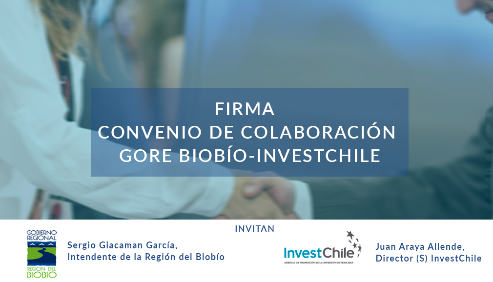About InvestChile Background