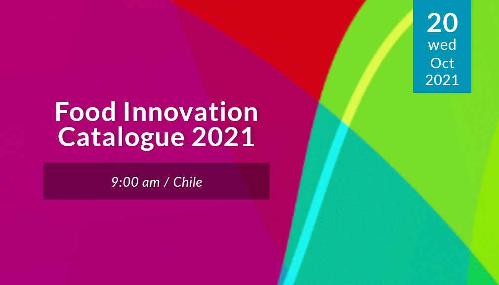 About InvestChile Background