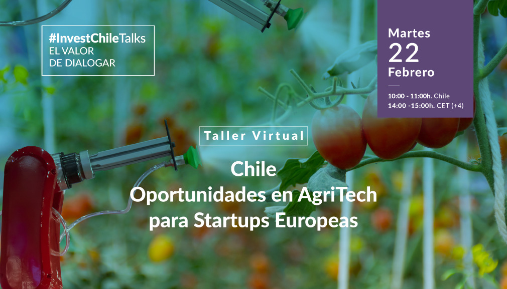 About InvestChile Background