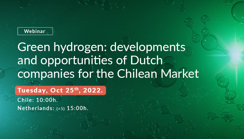 About InvestChile Background