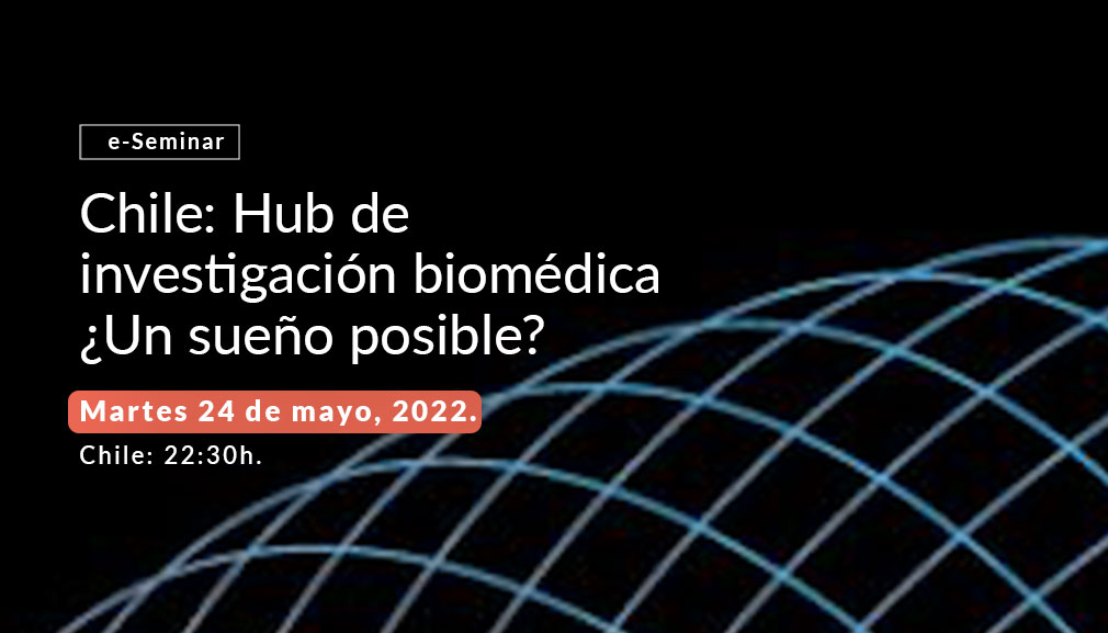 About InvestChile Background
