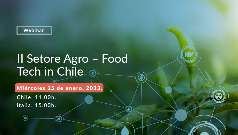 About InvestChile Background