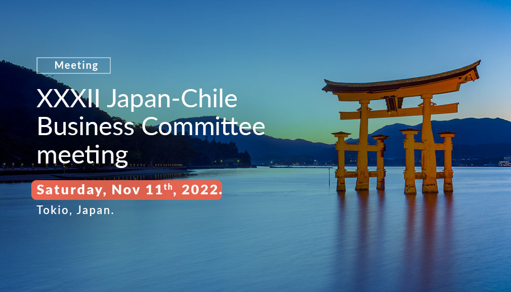 About InvestChile Background