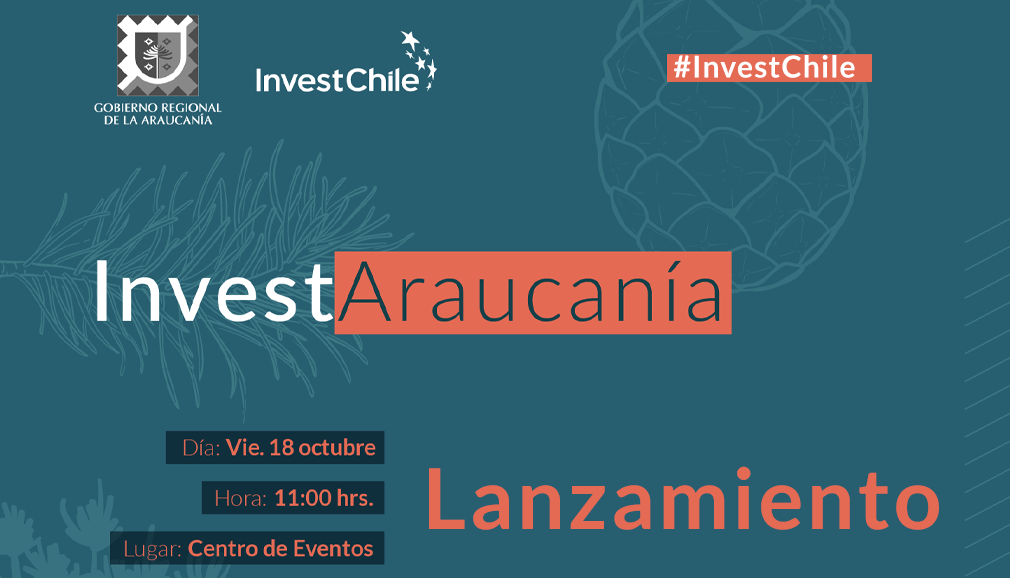 About InvestChile Background