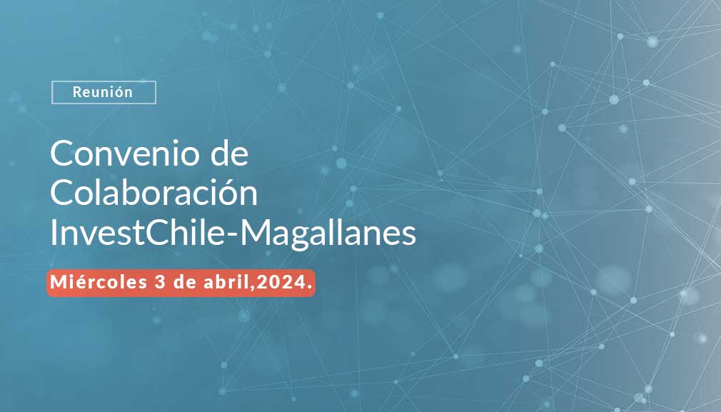 About InvestChile Background