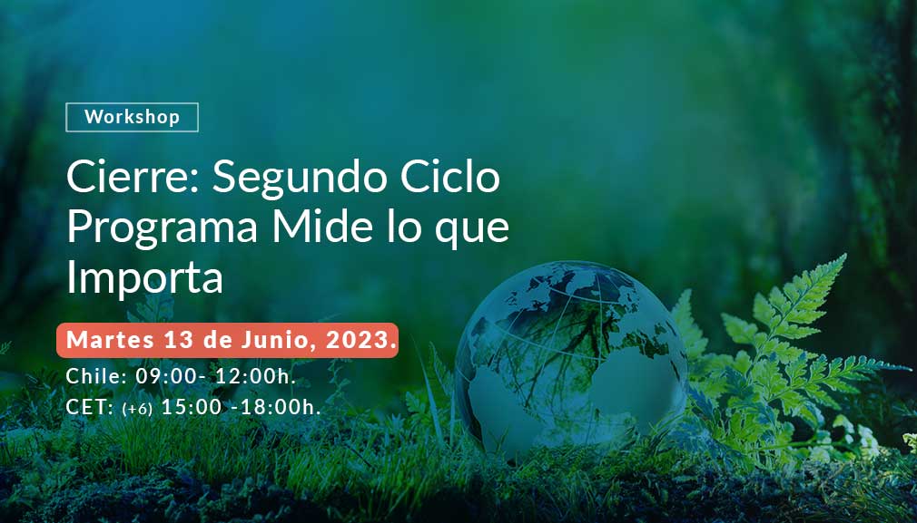 About InvestChile Background
