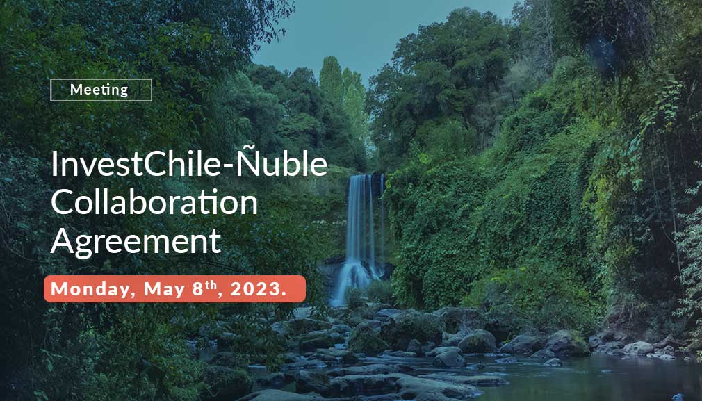 About InvestChile Background