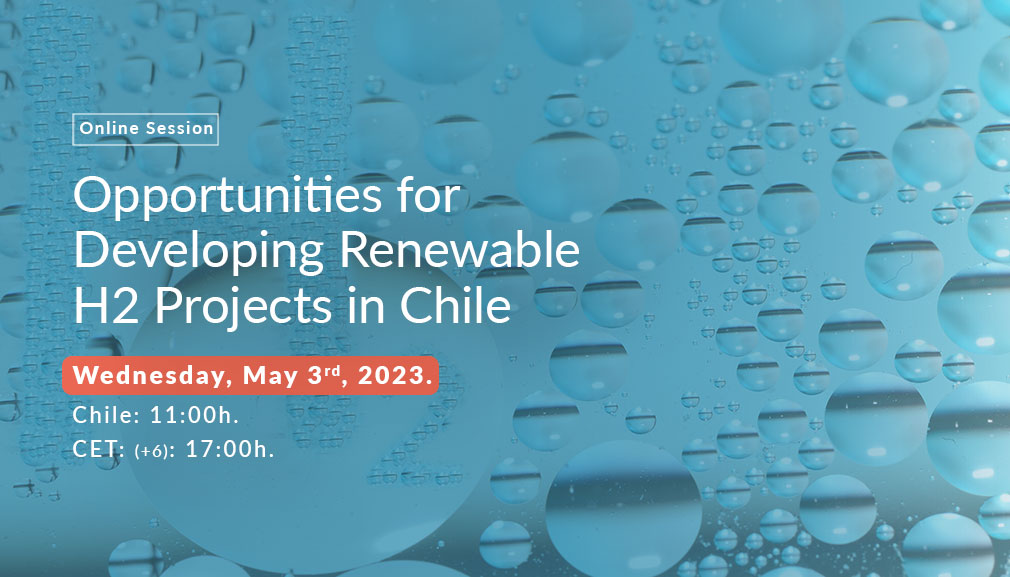 About InvestChile Background