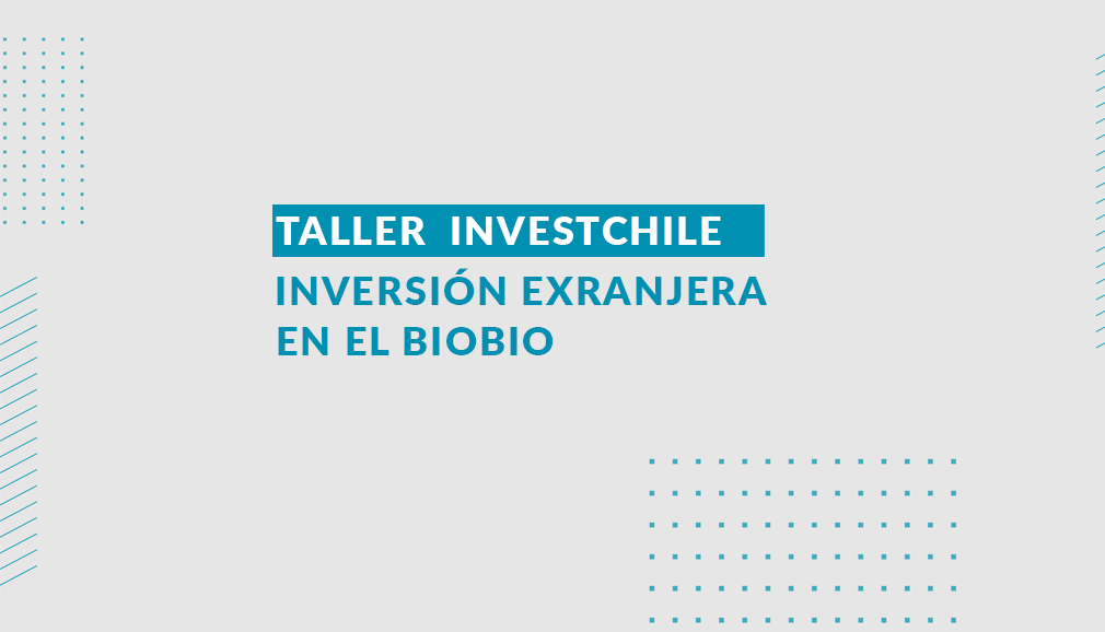 About InvestChile Background