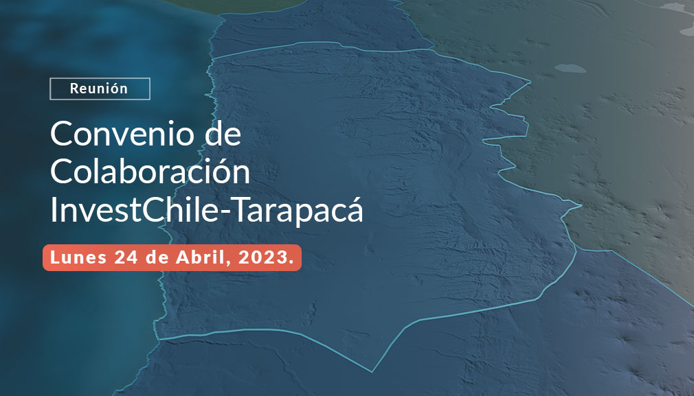 About InvestChile Background
