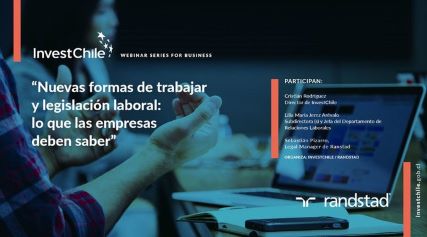 About InvestChile Background
