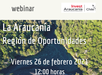About InvestChile Background