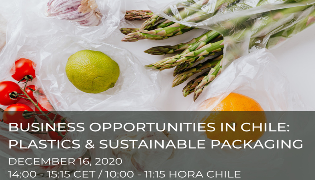 About InvestChile Background
