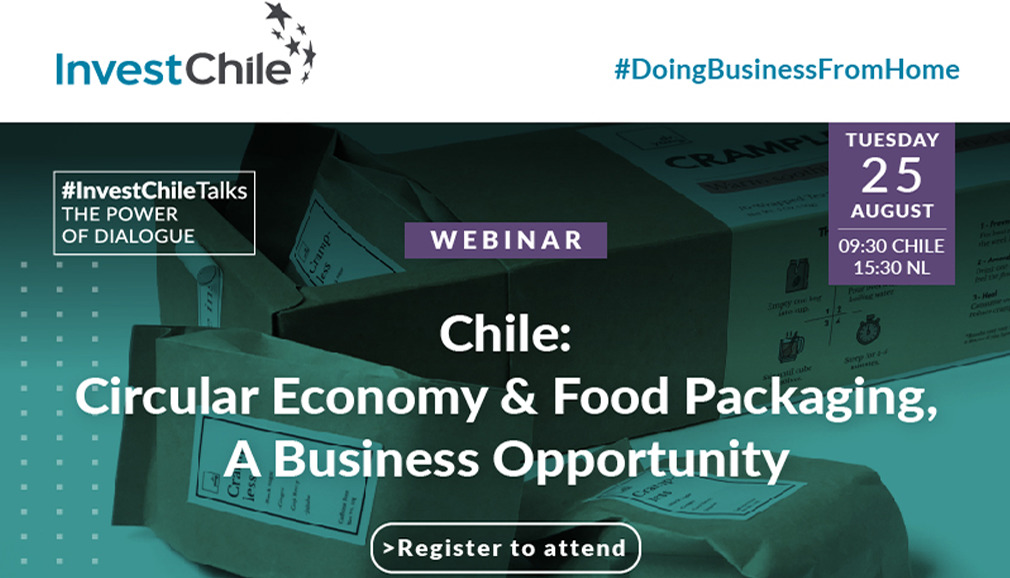 About InvestChile Background