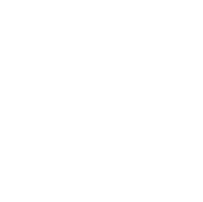logo-hebei-wenfeng